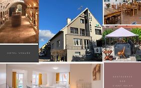 Mikulov - Inn - Hotel S Vinnym Sklepem Venuse